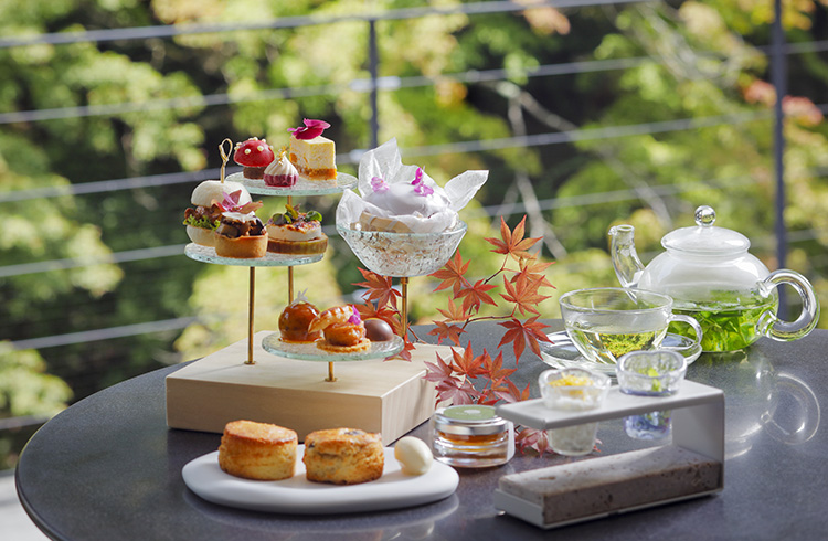 Afternoon Tea -kitayama sugi- Autumn