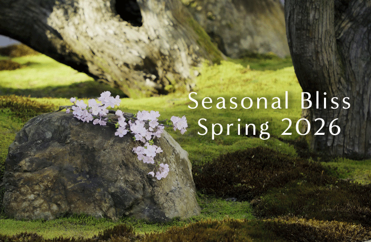 ROKU KYOTO 春季限定商品のご紹介 （3月1日〜）